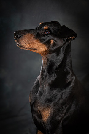 Milo-10-Edit