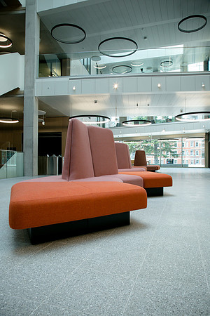 Dyson-BriggsRHC-1